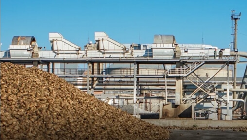 sugar facility